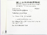 登錄號:F0020661藏品圖，第2張