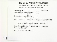 登錄號:F0020664藏品圖，第2張