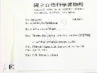 登錄號:F0020665藏品圖，第2張