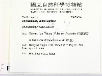 登錄號:F0020666藏品圖，第2張
