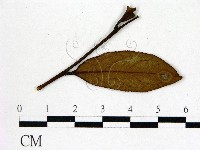 登錄號:F0020666藏品圖，第3張