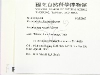 登錄號:F0020667藏品圖，第2張