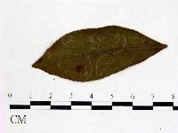 登錄號:F0020667藏品圖，第1張