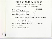 登錄號:F0020668藏品圖，第2張