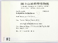 館號:F0020670藏品圖，第2張