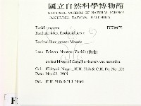 登錄號:F0020671藏品圖，第2張