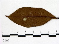 登錄號:F0020671藏品圖，第3張