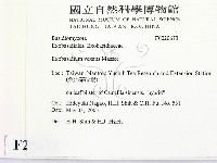 登錄號:F0020673藏品圖，第2張