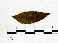 登錄號:F0020676藏品圖，第3張