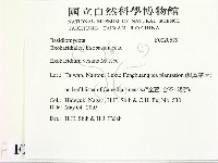 登錄號:F0020679藏品圖，第2張