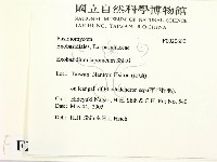 登錄號:F0020680藏品圖，第2張