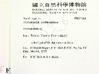登錄號:F0020681藏品圖，第2張