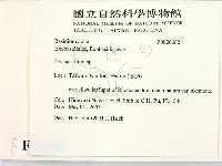登錄號:F0020682藏品圖，第2張