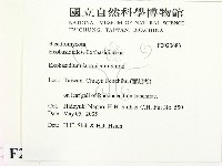 登錄號:F0020683藏品圖，第2張