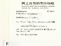 登錄號:F0020684藏品圖，第2張