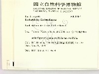 登錄號:F0020687藏品圖，第2張