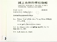 登錄號:F0020690藏品圖，第2張