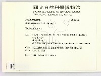 登錄號:F0020692藏品圖，第2張