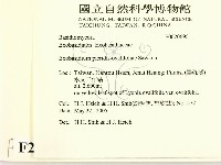 登錄號:F0020695藏品圖，第2張