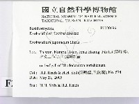 登錄號:F0020696藏品圖，第2張