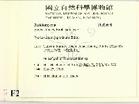 登錄號:F0020698藏品圖，第2張