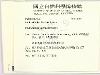 登錄號:F0020699藏品圖，第2張