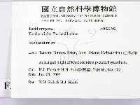 登錄號:F0020702藏品圖，第2張