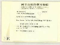 登錄號:F0020704藏品圖，第2張