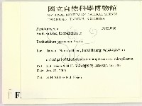 登錄號:F0020706藏品圖，第2張