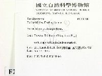 登錄號:F0020708藏品圖，第2張