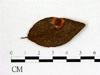 登錄號:F0020708藏品圖，第3張