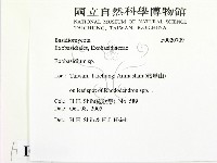 登錄號:F0020709藏品圖，第2張