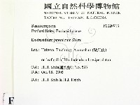登錄號:F0020713藏品圖，第2張