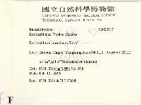 登錄號:F0020717藏品圖，第2張