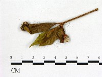 登錄號:F0020718藏品圖，第1張
