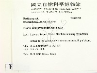 登錄號:F0020720藏品圖，第2張