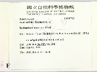 登錄號:F0020722藏品圖，第2張