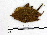 登錄號:F0020722藏品圖，第3張