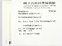 登錄號:F0020724藏品圖，第2張