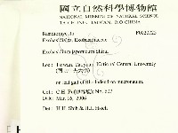 登錄號:F0020725藏品圖，第2張