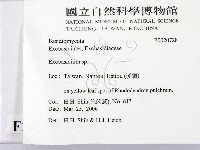 登錄號:F0020728藏品圖，第2張