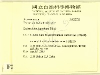 登錄號:F0020732藏品圖，第2張