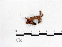 登錄號:F0020735藏品圖，第3張