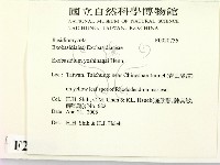 登錄號:F0020736藏品圖，第2張