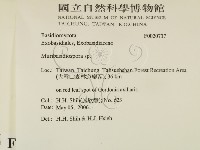 登錄號:F0020737藏品圖，第2張