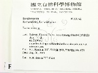 登錄號:F0020742藏品圖，第2張