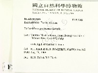登錄號:F0020745藏品圖，第2張