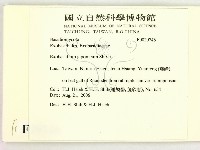 登錄號:F0020746藏品圖，第2張