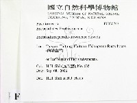 登錄號:F0020747藏品圖，第2張
