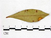 登錄號:F0020748藏品圖，第3張